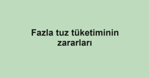 fazla-tuz-tuketiminin-zararlari