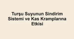 tursu-suyunun-sindirim-sistemi-ve-kas-kramplarina-etkisi